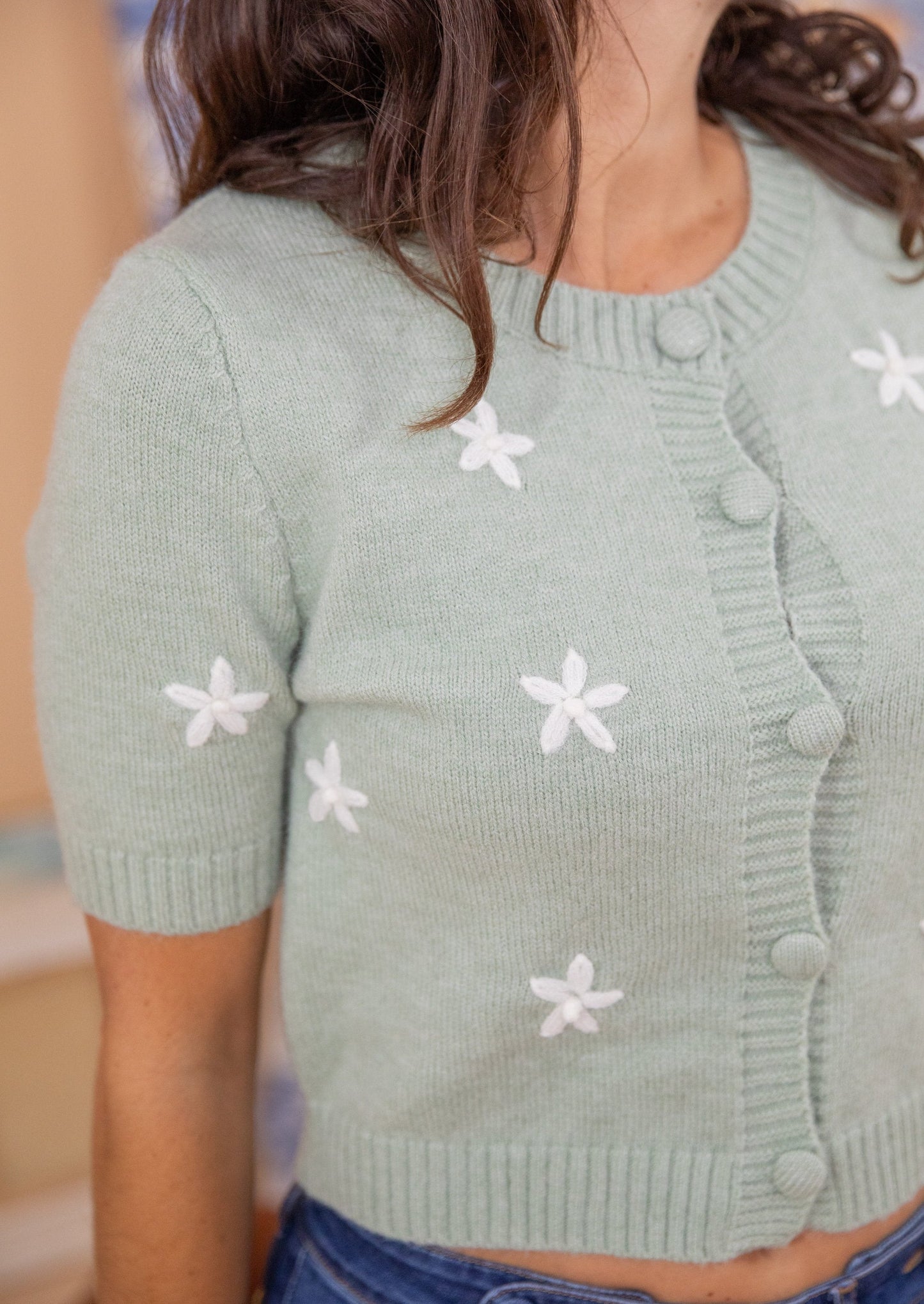 Pull HOLLY amande
