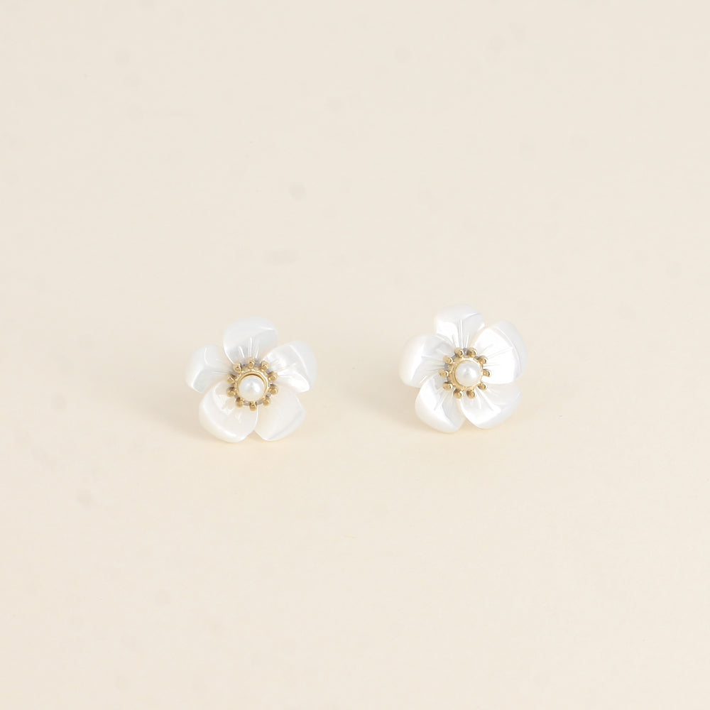 Puces PAQUERETTE blanche