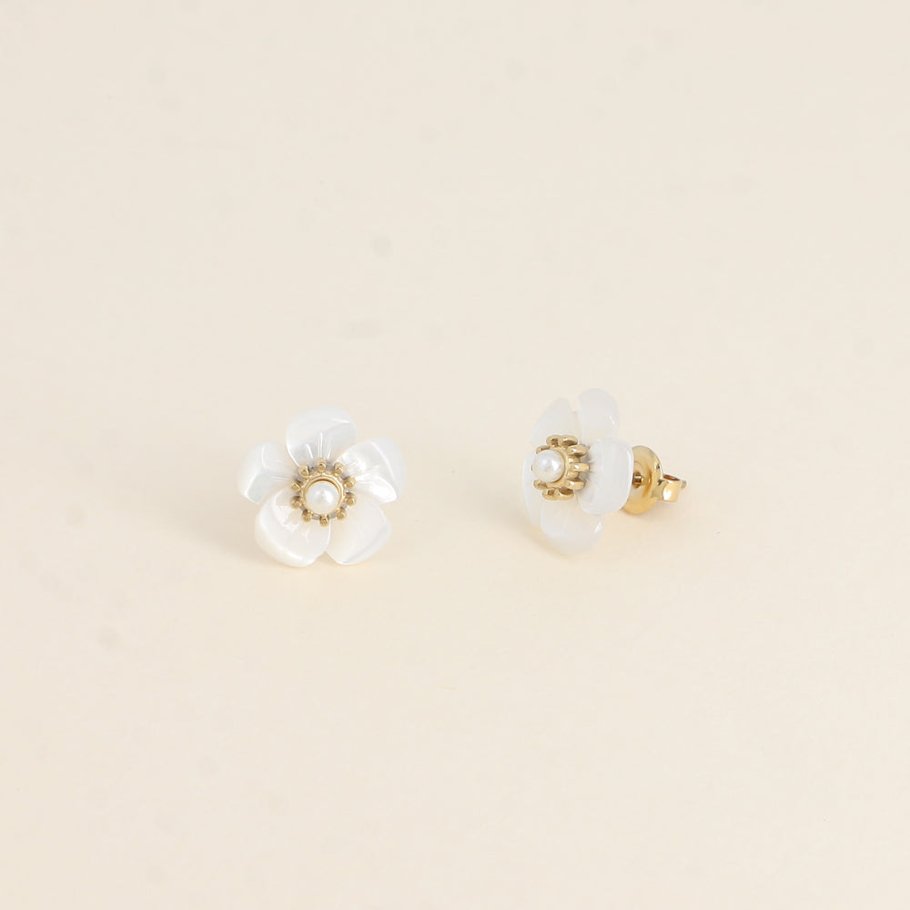 Puces PAQUERETTE blanche