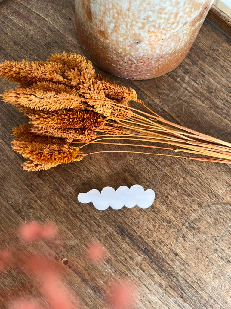 Barrette CLOUD pearl