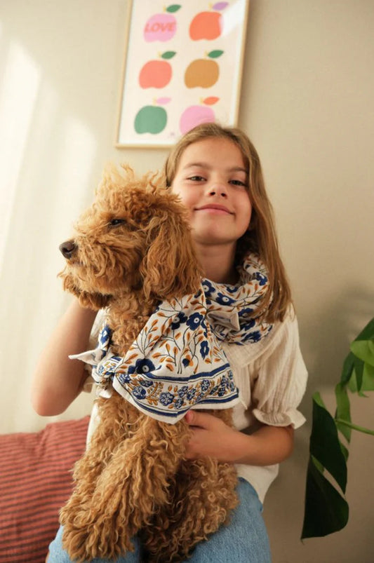 Petit foulard BELLIS safir