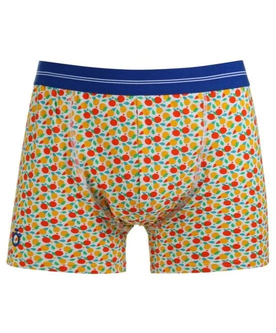 Boxer AGRUMES