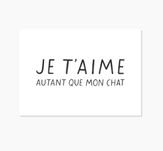 Carte CHAT