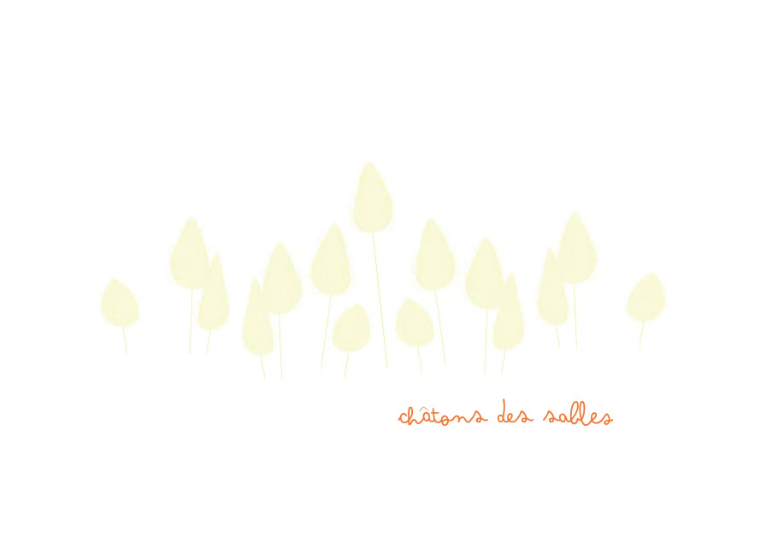 Carte postale CHATONS DES SABLES