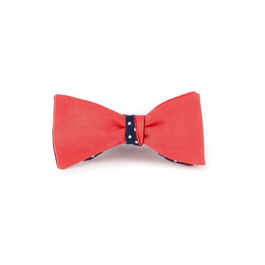 Noeud papillon GROS POIS bleu marine et banc