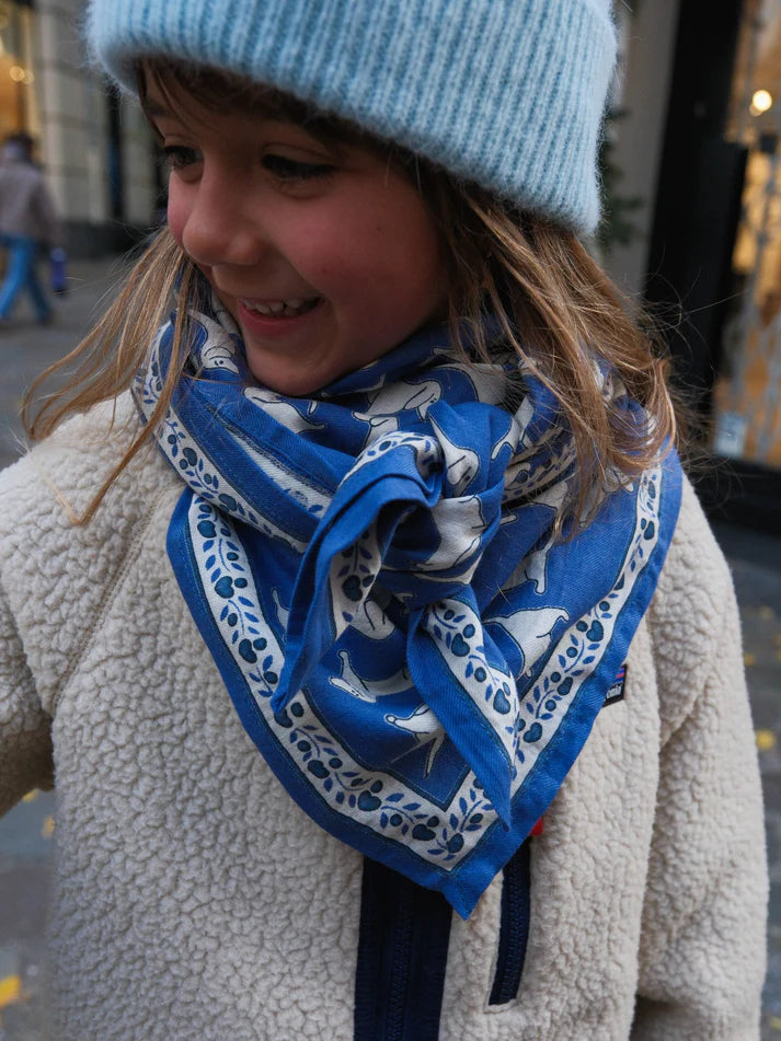 Foulard TECKEL bleu